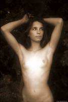 [Image: asw1fwoq2zad_t.jpg]