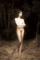 [Image: chkudfcammy9_t.jpg]