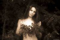 [Image: cszhr9bcyflq_t.jpg]