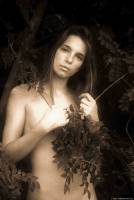 [Image: t7rkcpd1jvke_t.jpg]